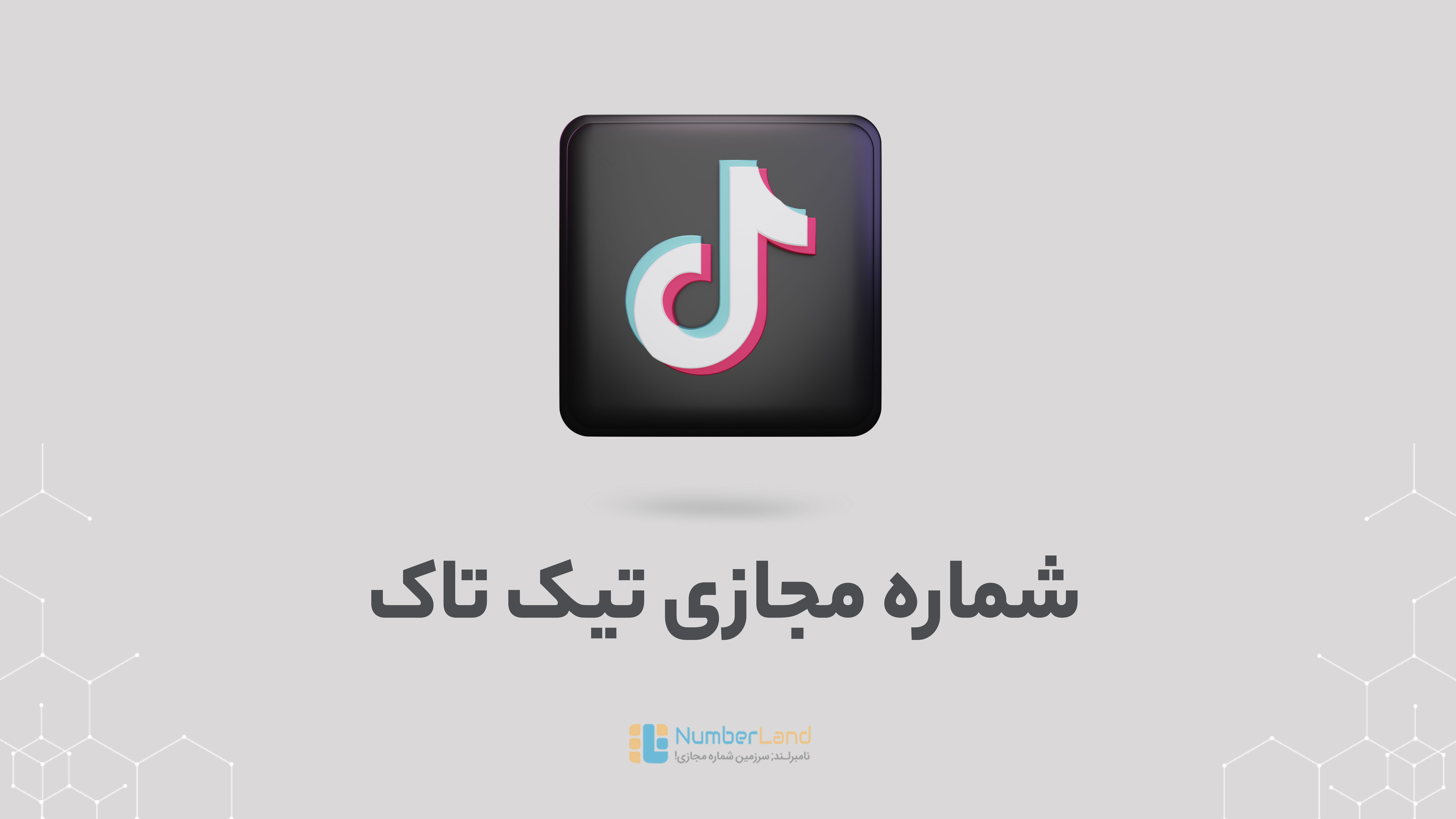 انواع شماره مجازی تیک تاک
